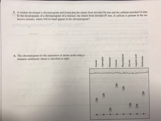 A student developed a chromatogram and found that