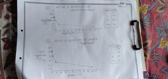 Olympic DATE PAGE NO: | Active o Peroxide 100 ACTIVE IS BENEFICIAL FOR CANCER TREATMENT 1207 100 Peroxides sota (%) sot b not