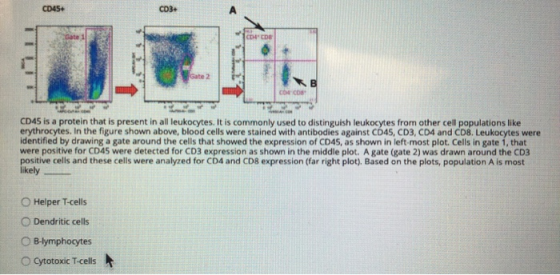 CD45+ CD45 is a protein that is present in all leukocytes. It is commonly used to distinguish leukocytes from other cell popu