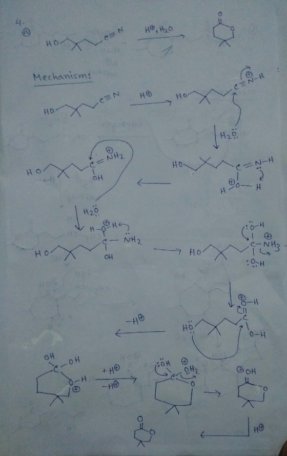 HO H20 CEN HO Mechanism: EN-H HO Но HO LEN H2o. Z .C=NH, HO C= N-H но SH yo | H2O VAPAS – NH3 de-NH2 нохон POH 0-H OH OOH MOH
