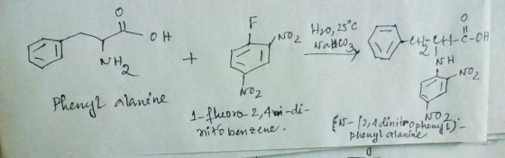 N0 2 N02 lanene pheugl ata nine