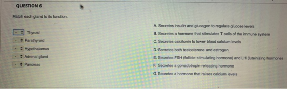 QUESTION 6 Match each gland to its function. - • - - • Thyroid Parathyroid Hypothalamus Adrenal gland Pancreas A. Secretos in