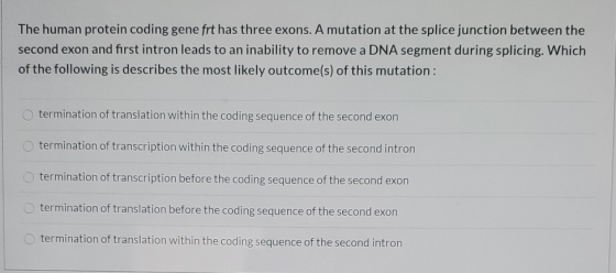 The human protein coding gene frt has three exons. A mutation at the splice junction between the second exon and first intron
