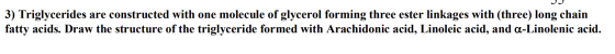 3) Triglycerides are constructed with one molecule of glycerol forming three ester linkages with (three) long chain fatty aci