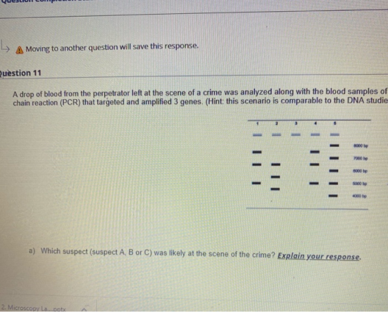 A Moving to another question will save this response. Question 11 A drop of blood from the perpetrator left at the scene of a