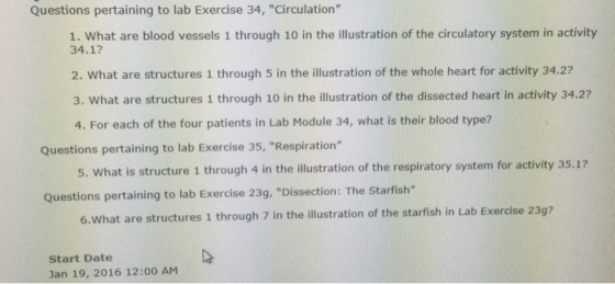 Questions pertaining to lab Exercise 34, Circulation 1. What are blood vessels 1 through 10 in the illustration of the circulatory system in activity 34.1? 2. What are structures 1 through 5 in the illustration of the whole heart for activity 34.27 3. What are structures 1 through 10 in the illustration of the dissected heart in activity 34.2? 4. For each of the four patients in Lab Module 34, what is their blood type? Questions pertaining to lab Exercise 35, Respiration 5. What is structure 1 through 4 in the illustration of the respiratory system for activity 35.17 Questions pertaining to lab Exercise 23g, Dissection: The Starfish 6.What are structures 1 through 7 in the illustration of the starfish in Lab Exercise 239? Start Date Jan 19, 2016 12:00 AM
