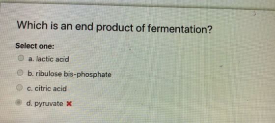 Which is an end product of fermentation? Select one: a. lactic acid O b. ribulose bis-phosphate c. citric acid d. pyruvate x