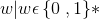 w| w \epsilon \left \{0 \right, 1\}*