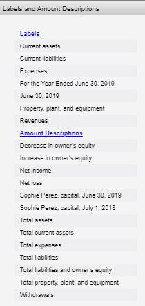 Labels and Amount Descriptions Labels Current assets Current liabilities Expenses For the Year Ended June 30, 2019 June 30, 2