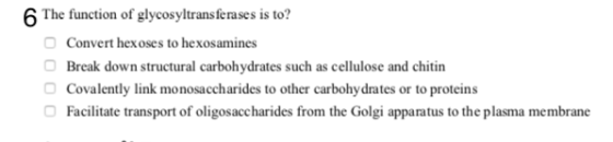 6 The function of glycosyltransferases is to? Convert hex oses to hexosamines Break down structural carbohydrates such as cel