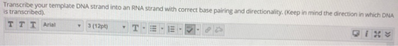 Transcribe your template DNA strand into an RNA strand with correct base pairing and directionality. (Keep in mind the direct