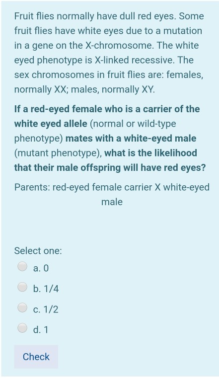 Fruit flies normally have dull red eyes. Some fruit flies have white eyes due to a mutation in a gene on the X-chromosome. Th