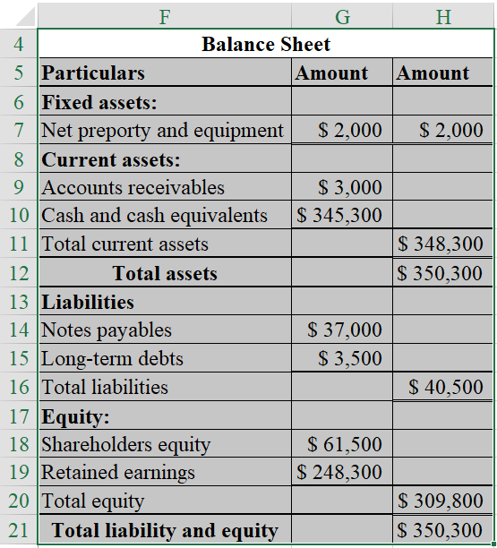F G H Balance Sheet 5 Particulars Amount Amount 6 Fixed assets: 7 Net preporty and equipment $2,000 $2,000 8 Current assets: