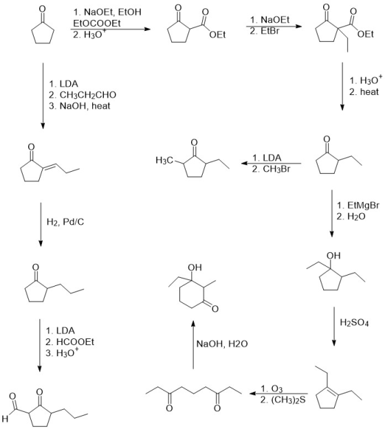 1. NaOEt, EtOH EtOCOOEt 2. H30 1. NaOET 2. EtBr OEt 1. LDA 2. CH3CH2CHO 3. NaOH, heat 1. H30+ 2. heat H3C 1. LDA 2. CH3Br 1.