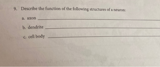 9. Describe the function of the following structures of a neuron: a. axon b. dendrite c. cell body
