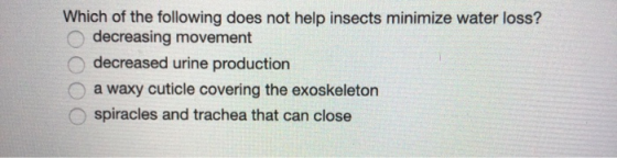 Which of the following does not help insects minimize water loss? decreasing movement decreased urine production O a waxy cut