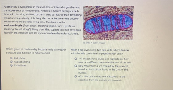 Another key development in the evolution of internal organelles was the appearance of mitochondria. Almost all modern eukaryo