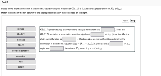 Part B Based on the information shown in the scheme, would you expect mutation of Glul17 to Ala to have a greater effect on K