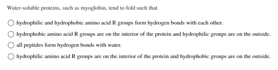 Water-soluble proteins, such as myoglobin, tend to fold such that hydrophilic and hydrophobic amino acid R groups form hydrog