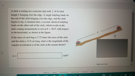 A stick is resting on a concrete step with 흑 of its total length L hanging over the edge. A single ladybug lands on the end o