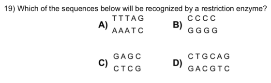 19) Which of the sequences below will be recognized by a restriction enzyme? TTTAG СССС AAATC B) GGGG GAGC CTG CAG C) CICG GA