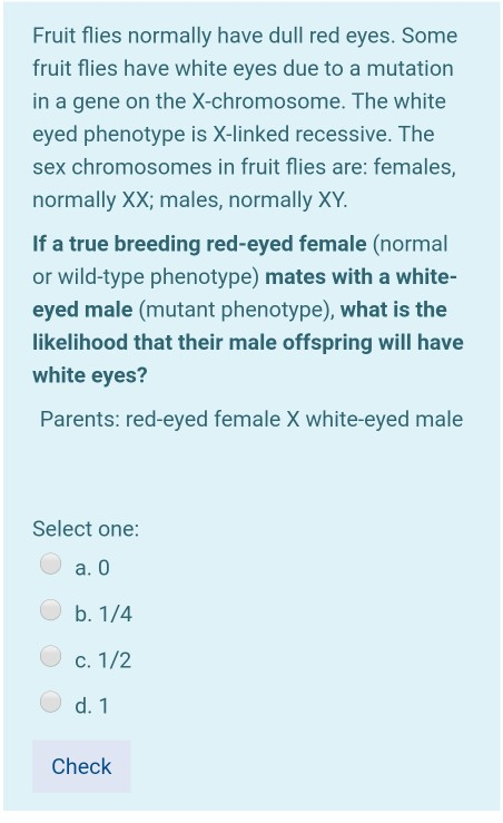 Fruit flies normally have dull red eyes. Some fruit flies have white eyes due to a mutation in a gene on the X-chromosome. Th