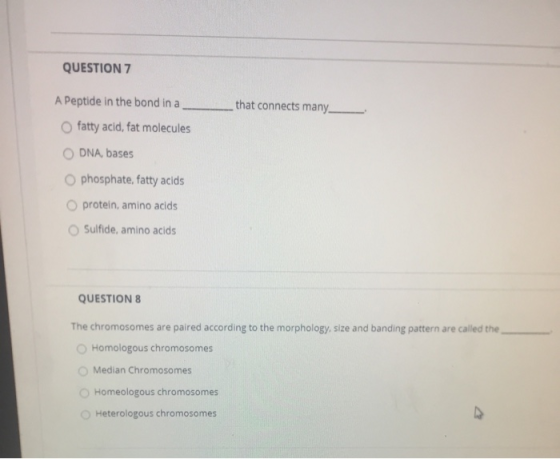 QUESTION 7 A Peptide in the bond in a that connects many fatty acid, fat molecules DNA, bases phosphate, fatty acids O protei