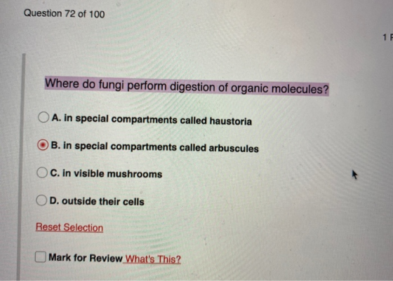 Question 72 of 100 Where do fungi perform digestion of organic molecules? O A. in special compartments called haustoria OB. i