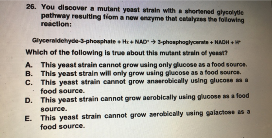 26. You discover a mutant yeast strain with a shortened glycolytic pathway resulting from a new enzyme that catalyzes the fol