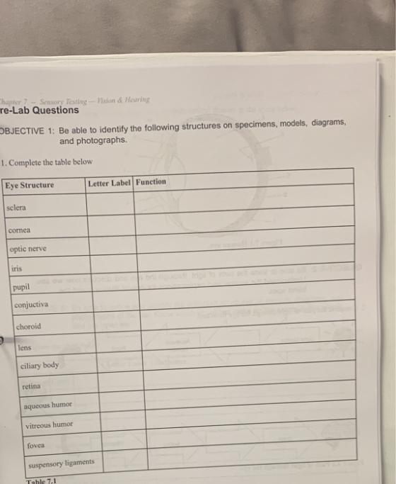 hapter 7 Sensory Testing-Vision &Hearing re-Lab Questions DBJECTIVE 1: Be able to identify the following structures on specim