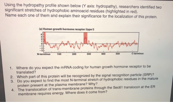 Using the hydropathy profile shown below (Y axis: hydropathy), researchers identified two significant stretches of hydrophobi
