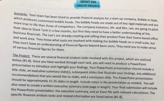 MGMT 640 GROUP PROJECT to your team has been hired to provide financial analysis for a start-up company, Bobble in Style, n p