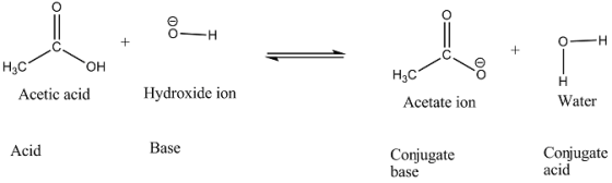 Нас OH H3C Acetic acidHydroxide ion Water Acetate ion Acid Base Conjugate acid Cl Conjugate base