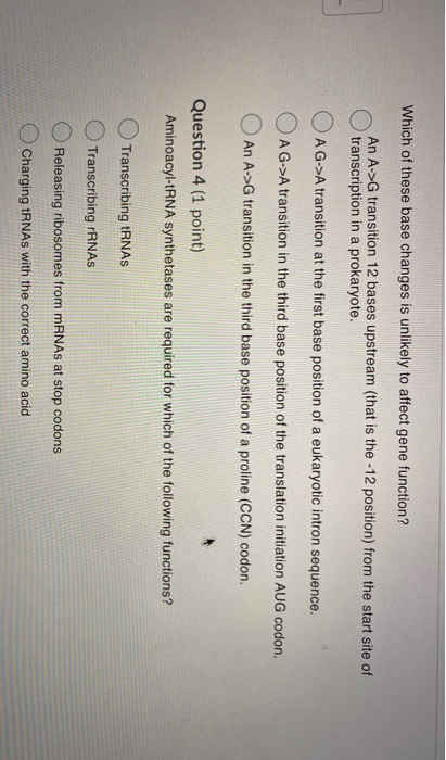 Which of these base changes is unlikely to affect gene function? An A->G transition 12 bases upstream (that is the -12 positi