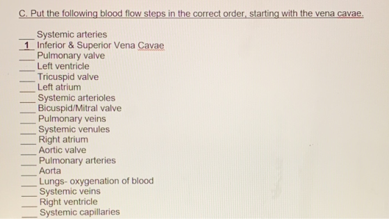 C. Put the following blood flow steps in the correct order, starting with the vena cavae. Systemic arteries Inferior & Superi