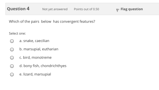 Question 4 Not yet answered Points out of 0.50 p Flag question Which of the pairs below has convergent features? Select one: