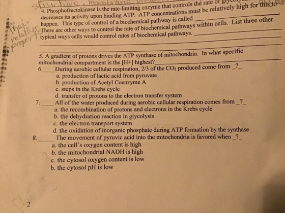 Evce Monobran.UUUU 4. Phosphofructokinase is the rate-limiting enzyme that controls the rate on decreases its activity upon b
