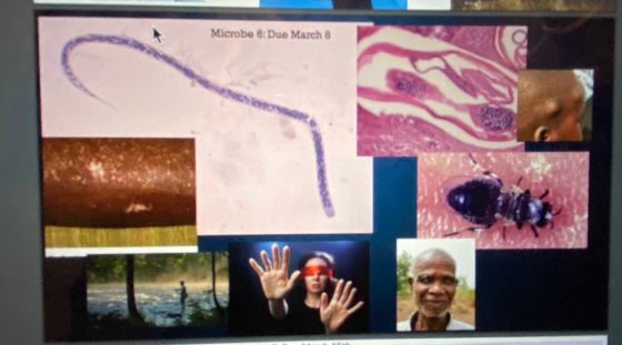 Microbe 6: Due March 8