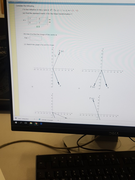 Consider the following T is the reflection in the y-axis in R2: T(x, y) (-x, y), v (2, -5) (a) Find the standard matrix A for