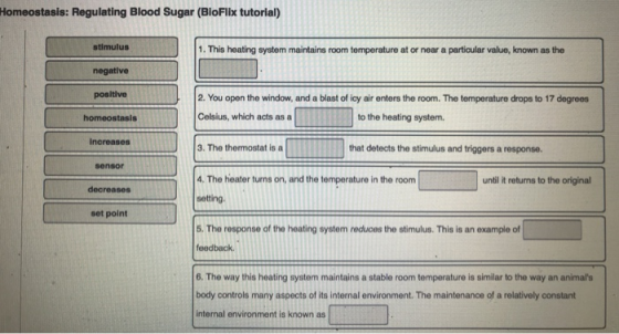 Homeostasis: Regulating Blood Sugar (BioFlix tutorial) stimulus negative positive homeostasis 1. This heating system maintain