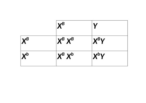 х* хв хвҮ x® X6 Xby