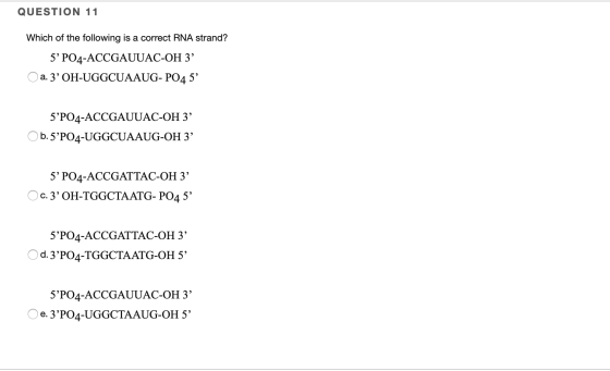 QUESTION 11 Which of the following is a correct RNA strand? 5 PO4-ACCGAUUAC-OH 3’ O a. 3’OH-UGGCUAAUG- PO45 5²PO4-ACCGAUUAC
