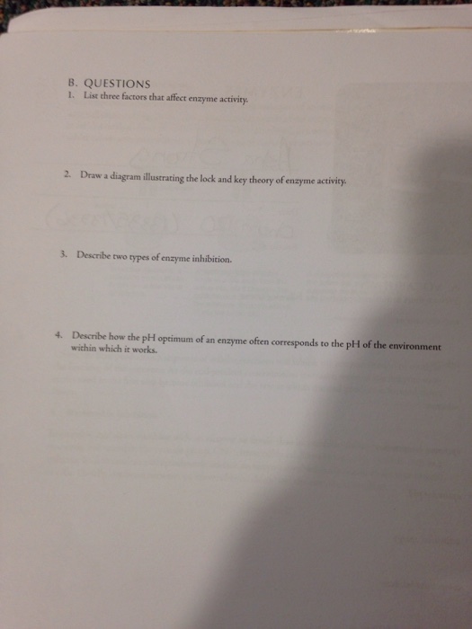 List three factors that affect enzyme activity. D