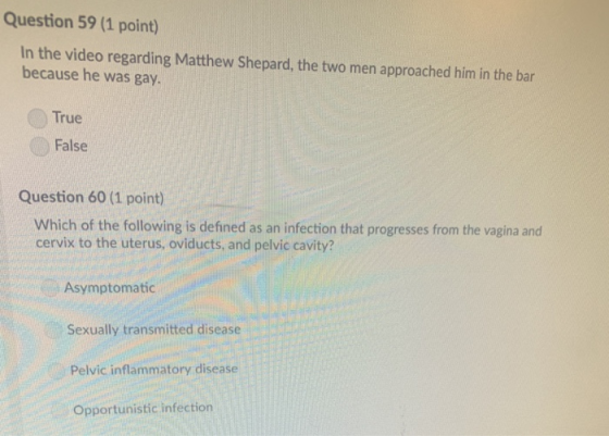 Question 59 (1 point) In the video regarding Matthew Shepard, the two men approached him in the bar because he was gay True F