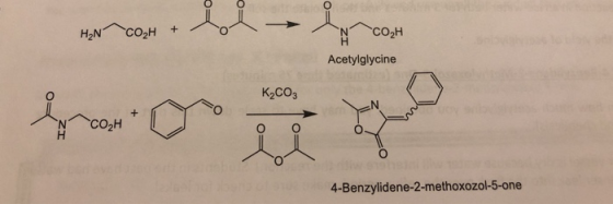 HaNcOH + N COH Acetylglycine K2CO3 fram.cü * CO 0 0 4-Benzylidene-2-methoxozol-5-one
