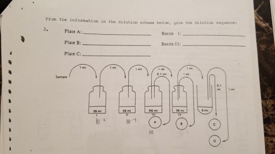 From the information in the dilution scheme below, give the ive the dilution sequence: 3. Plate A: Plate B: Plate C: Bottle 1: Bottle IIl: 1 ml 1 ml mi 1 ml 0.1 ml Sample 0.1 mi 1 mi 99 ml 99 ml IV 99 ml 99 ml 9 mi 10