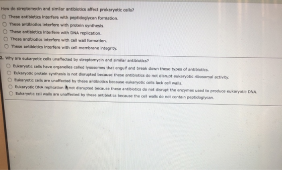 How do streptomycin and simlar antiblotics affect prokaryotic cells? 。These antibiotics interfere with peptidoglycan formation. O These antiblotics interfere with protein synthesls. O These antiblotics Interfere with DNA replication. O These antiblotics Interfere with cell wall formation. These antibiotics interfere with cell membrane integrity. 2. Why are eukaryotic cells unaffected by streptomycin and similar antiblotics? 0 Eukaryotic cells have organelles called lysosomes that engulf and break down these types of antibiotics. O Eukaryotic protein synthesis is not disrupted because these antibiotics do not disrupt eukaryotic ribosomal activity O Eukaryotic cells are unaffected by these antiblotics because eukaryotic cells lack cell walls Eukaryotic DNA replication it not disrupted because these antibiotics do not disrupt the enzymes used to produce eukaryotic DNA. cell walls are unaffected by these antibiotics because the cell walls do not contain peptidoglycan.