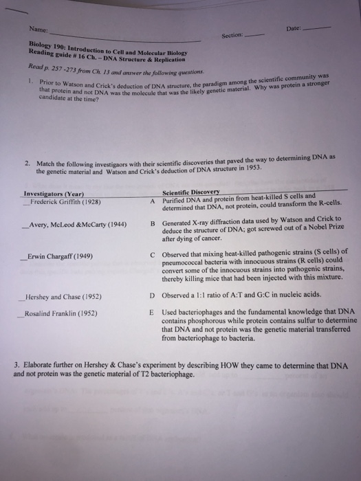 Name: Date: Section: Biology 190: Introduction to Cdl and Molecular Biolog Reading guide # 16 Ch.-DNA Structure & Replication