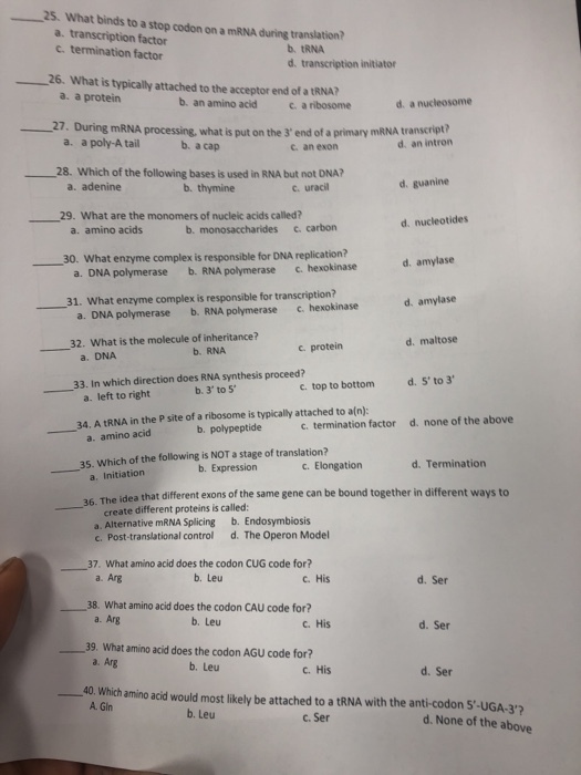 25. What binds to a stop codon on a mRNA during translation? a. transcription factor c. termination factor b. tRNA d. transcription initiator 26. What is typically attached to the acceptor end of a tRNA? a. a protein b. an amino acid C a ribosome d. a nucleosome 27. During mRNA processing, what is put on the 3 end of a primary mRNA transcript? a. a poly-A tail b. a cap d. an intron c. an exon 28. Which of the following bases is used in RNA but not DNA? a. adenine b. thymine d. guanine c. uracil 29, What are the monomers of nucleic acids called? a. amino acids b. monosaccharides c carbon hat enzyme complex is responsible for DNA replicationi a. DNA polymerase b. RNA polymerase .hexokinase 31. What enzyme complex is responsible for transcription? a. DNA polymerase b. RNA polymerase , hexokinase 32. What is the molecule of inheritance? 30. W d. amylase d. amylase d. maltose c. protein a. DNA b. RNA 33. In which direction does RNA synthesis proceed? c. top to bottom d. 5 to 3 left to right b. 3 to 5 34. A tRNA in the P site of a ribosome is typically attached to a(n) d. none of the above b. polypeptide c. termination factor a. amino acid 5. Which of the following is NOT a stage of translation? a Initiation 36. The b. Expression c. Elongation d. Termination idea that different exons of the same gene can be bound together in different ways to create different proteins is called a. Alternative mRNA Splicing c. Post-translational control b. Endosymbiosis d. The Operon Model 37. What amino acid does the codon CUG code for? a. Arg b. Leu c. His d. Ser 38. What amino acid does the codon CAU code for? a. Arg b. Leu d. Ser C, His 39. What amino acid does the codon AGU code for? b. Leu c. His d. Ser 40. Which amino acid would most likely be attached to a tRNA with the anti-codon 5-UGA-3 A. Gin b. Leu d. None of the above c. Ser