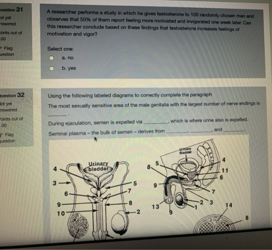 uestion 31 ot yet mswered oints out of -00 Flag uestion A researcher performs a study in which he gives testosterone to 100 r